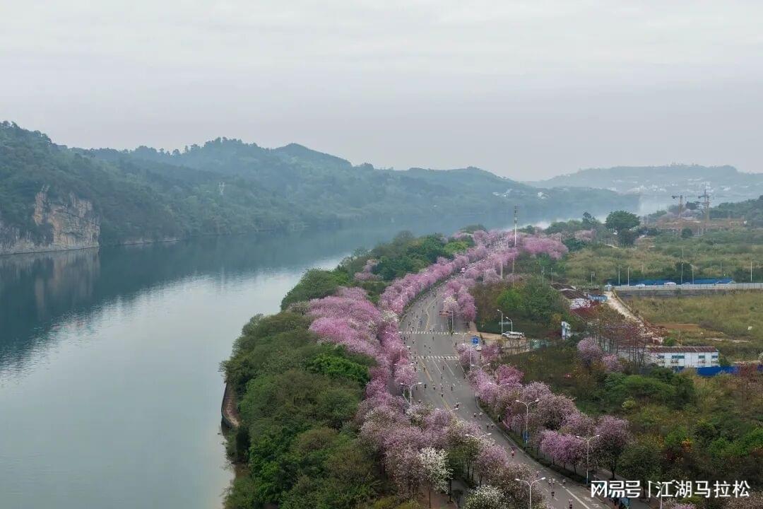 pg电子娱乐平台-马拉松比赛前夜释放弃赛名额,有操作性吗